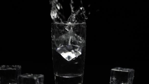 Ajouter le glaçon à la photo de vodka en verre sur fond noir. Boisson alcoolisée
 - Séquence, vidéo