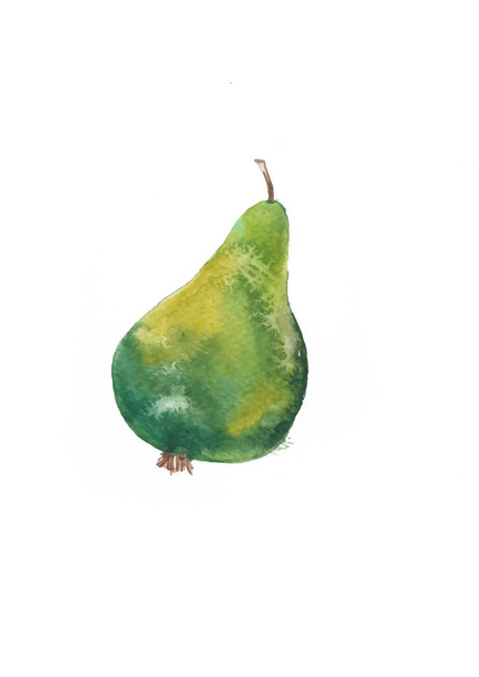 Hand drawn watercolor painting on white background. illustration of fruit green pear - Photo, image
