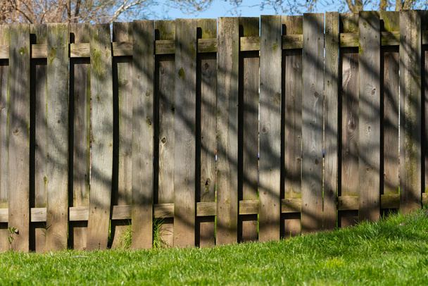 Dřevěný zahradní plot s čerstvou zelenou trávou na krásném jarním ránu. - Fotografie, Obrázek