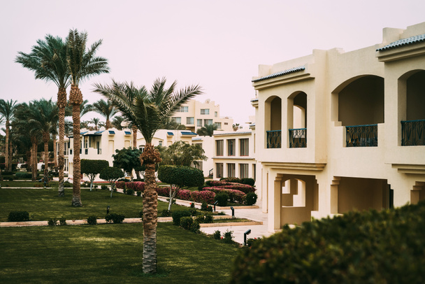 夏の暑い中、エジプト・シナイ・シャルム・エル・シェイクの紅海沿岸にヤシの木がある日当たりの良いリゾートビーチ。明るい陽射しだ。海で最初の行ホテル。ホテルの大きな緑のエリア. - 写真・画像