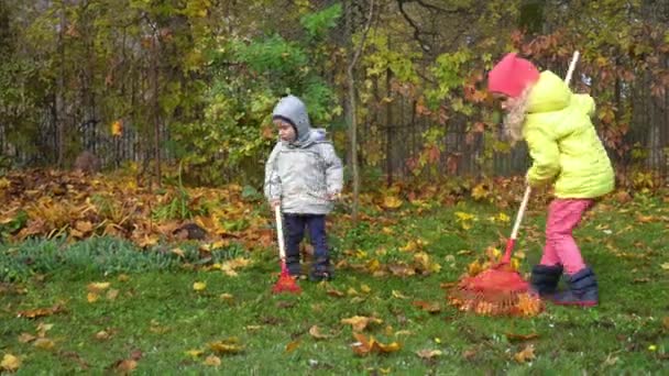 Δύο μικρά παιδιά βοηθοί τσουγκρίζουν φύλλα στον κήπο. Λαμπερή κίνηση - Πλάνα, βίντεο