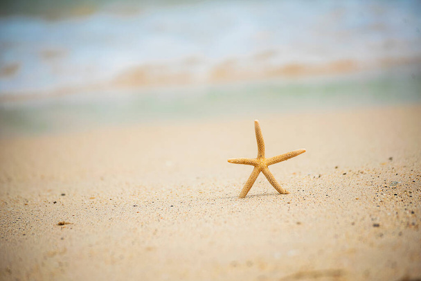 csillag hal nyáron trópusi strand kék óceán természet táj fehér hullám trópusi nyári sziget. - Fotó, kép