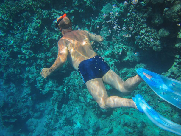 Man snorkeling in the Red Sea - 写真・画像