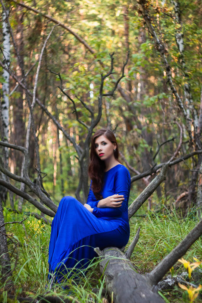 Schöne, junge Frau in blauem Kleid sitzt auf einem umgestürzten Baum im Hintergrund eines Waldes und trockenen Zweigen. - Foto, Bild