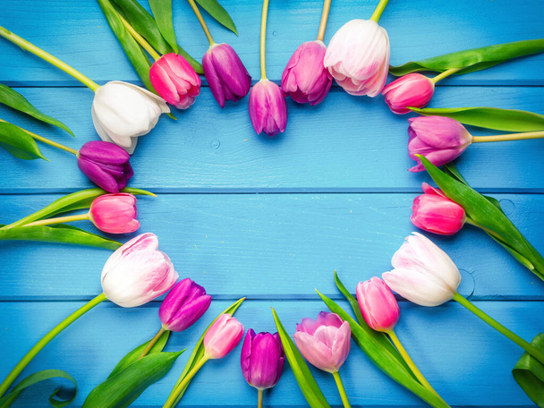 Holiday spring background. Heart shaped frame of colorful tulip flowers arranged on blue wooden backdrop.  Greeting card with copy space for Valentine's Day, Woman's Day and Mother's Day. Top view. - 写真・画像