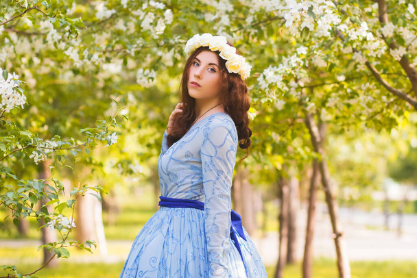 A beautiful woman in a blue puffy dress with a rim of white flowers on her head walks through the park between blooming apple trees. - Foto, Imagen