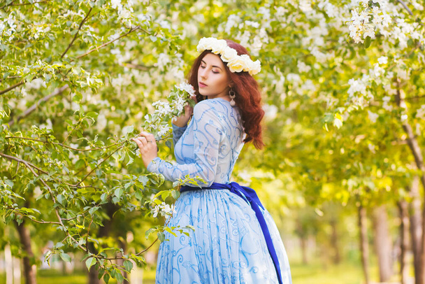 A beautiful woman in a blue puffy dress with a rim of white flowers on her head walks through the park between blooming apple trees. - Photo, Image