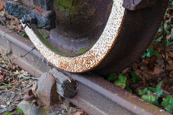 An old and rusty train wheel on overgrown railway track. - Photo, Image