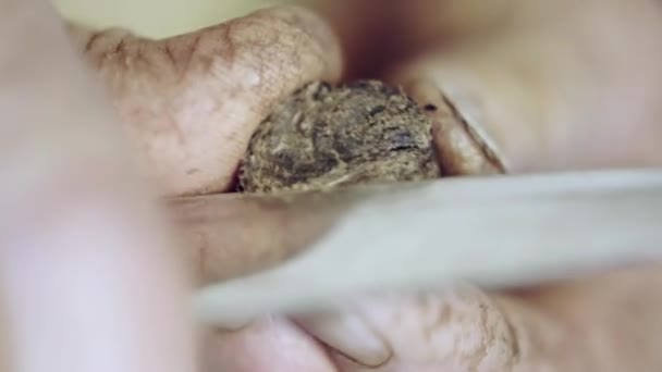 Vue rapprochée de l'homme faisant la cigarette
 - Séquence, vidéo