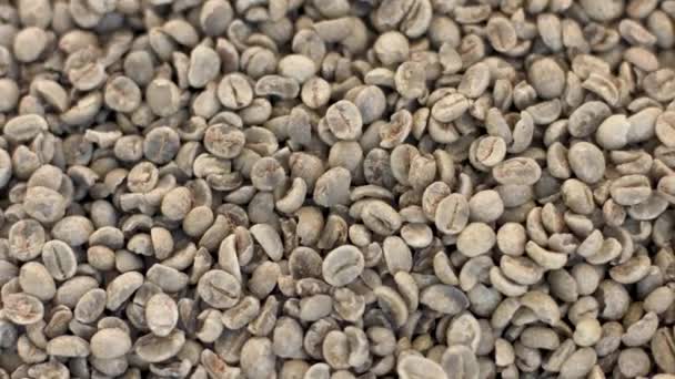 Vista cercana de granos de café crudos
 - Metraje, vídeo