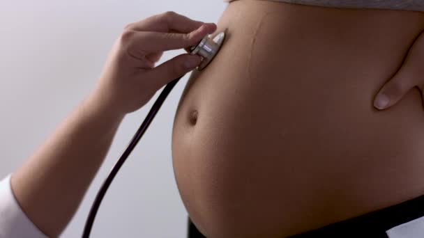Médico examinando mulher grávida
 - Filmagem, Vídeo