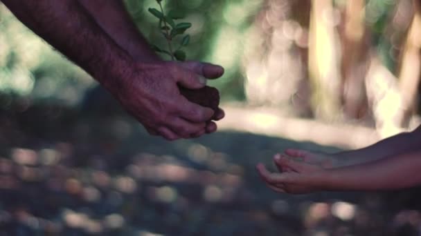 Vue rapprochée de l'homme mature partageant un semis avec un enfant
 - Séquence, vidéo