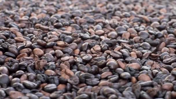 Vista cercana de granos de café tostados y taza de café
 - Metraje, vídeo