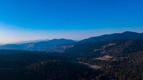 Carpathian mountains landscape pine forest needles aerial photography. - Фото, изображение