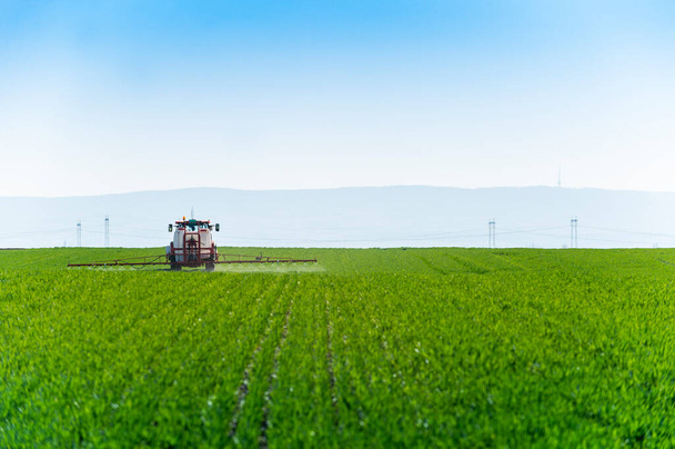 Tractor rociando trigo en primavera en el campo - Foto, imagen