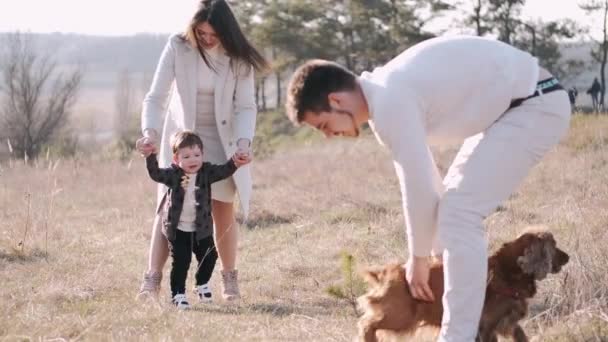 Jonge gelukkige familie met zoon en hond wandelen in het veld - Video