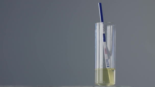 Close view of pregnancy test in glass - Filmagem, Vídeo