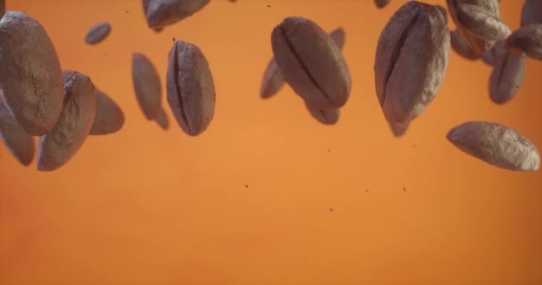 Кофейные зерна падают на оранжевый фон
 - Кадры, видео