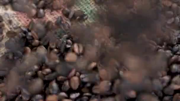 Close view of roasted coffee beans and cup of coffee - Felvétel, videó
