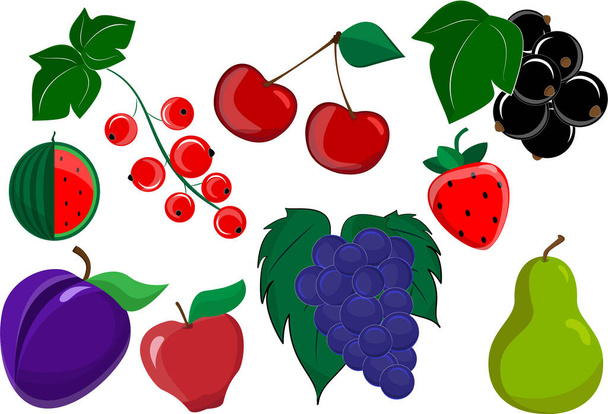 set of icons Wild and cultivated fresh healthy berries vector illustration, red currant, watermelon cut, Apple red, black currant, pear, cherry, strawberry, plum folet, of design of the diet. - Vettoriali, immagini