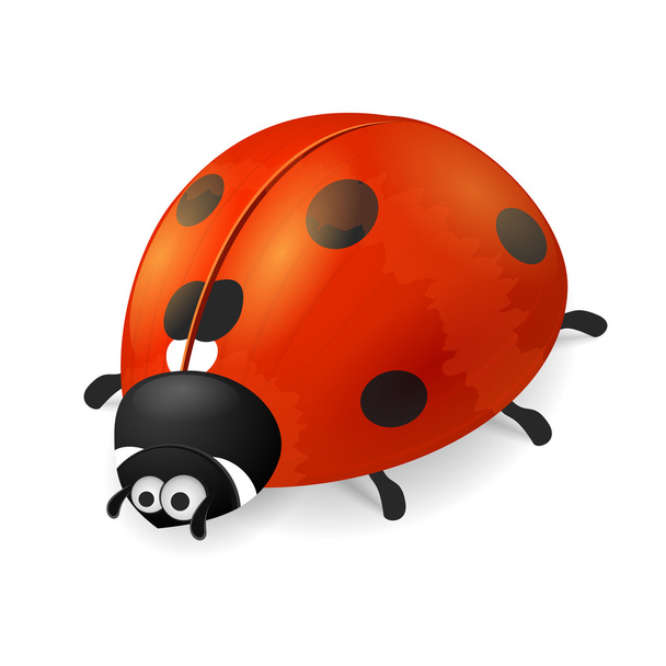 Cute ladybird on white background - Vector, Image