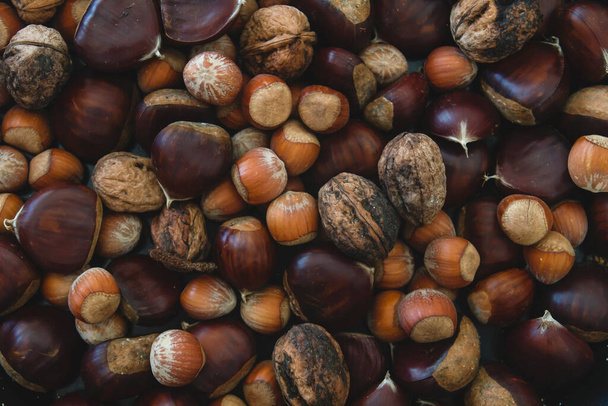 Ripe hazelnuts, chestnuts, and walnuts top view - Фото, изображение