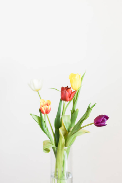 Beautiful multicolored tulips in a vase on white background - Фото, изображение