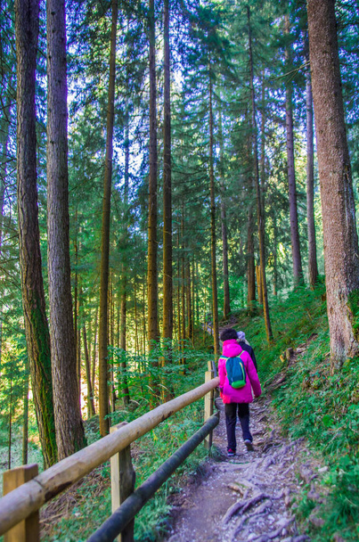 jong meisje wandelaar wandelingen blij met stokken voor wandelpaden in schaduwrijke bergbos - Foto, afbeelding