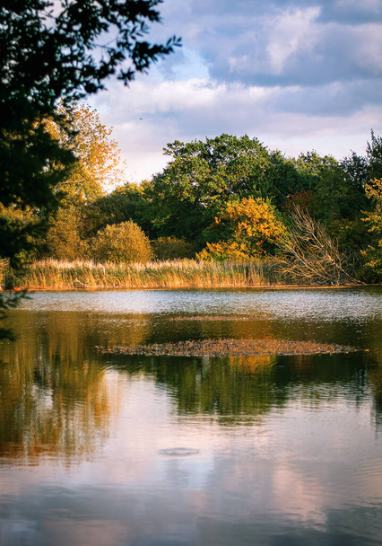 Ήσυχη λίμνη με αντανάκλαση και τη φύση σε χρώματα φθινόπωρο - Φωτογραφία, εικόνα