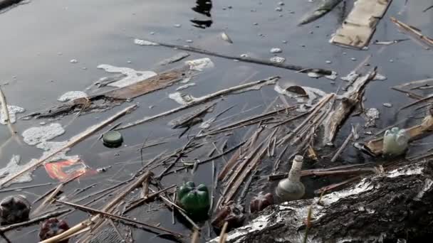 Des bouteilles en plastique et en verre jetées dans la rivière par des gens comme les ordures. Pollution des rivières et des lacs, désastre écologique des ressources en eau
. - Séquence, vidéo