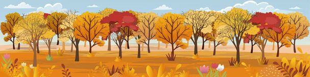 Panoramic of Autumn Countryside landscape in England, Vector illustration of horizontal banner of autumn landscape trees forest with flowers in red, orange and yellow foliage. Coulorfull Fall season - Vector, Image