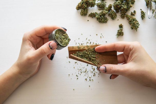 Woman preparing and rolling marijuana cannabis joint. Close up of marijuana blunt with grinder. Woman rolling a marijuana blunt on white background. Cannabis use concept. - Foto, imagen