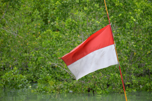 Endonezya bayrağı - Fotoğraf, Görsel