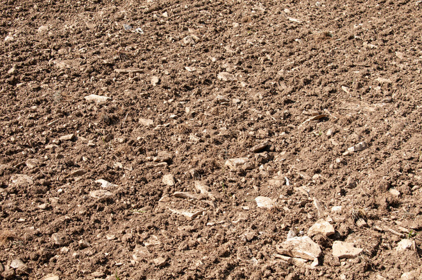 termőföld tavasszal sváb albbal, vetősorokkal és rengeteg mészkősziklával - Fotó, kép