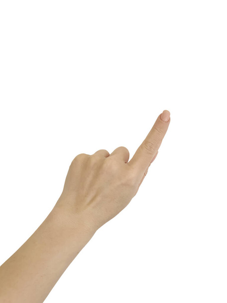 female hand isolated on a white background - Foto, afbeelding