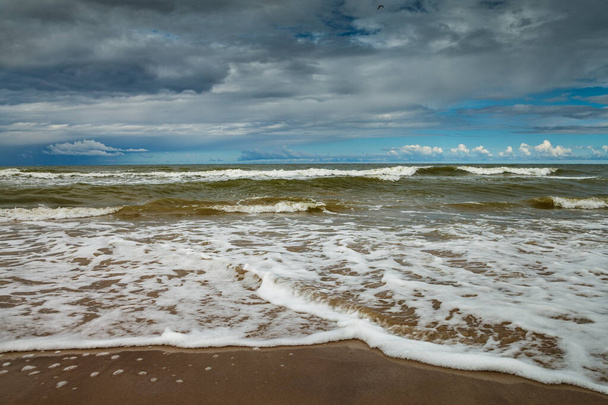 Blick auf eine natürliche Ostseeküste. - Foto, Bild