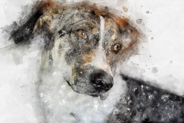 Krásné akvarel ilustrace roztomilý pes na bílém pozadí - Fotografie, Obrázek