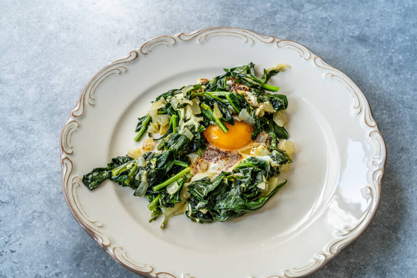 Homemade Cooked Spinach with Fried Egg in Plate. Healthy Organic Hot Food. - Foto, afbeelding