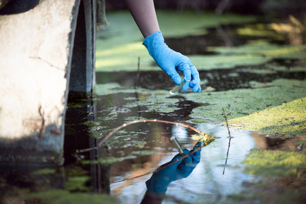 Pond water pollution concept. Scientist takes samples of dirty water from a pond into a test tube. - Foto, imagen