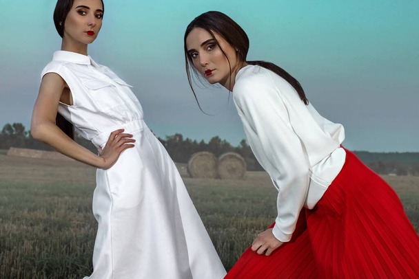 Portret dwóch ciemnowłosych sióstr dziewcząt w modnych i stylowych ubraniach, na tle pola i stogów siana. - Zdjęcie, obraz