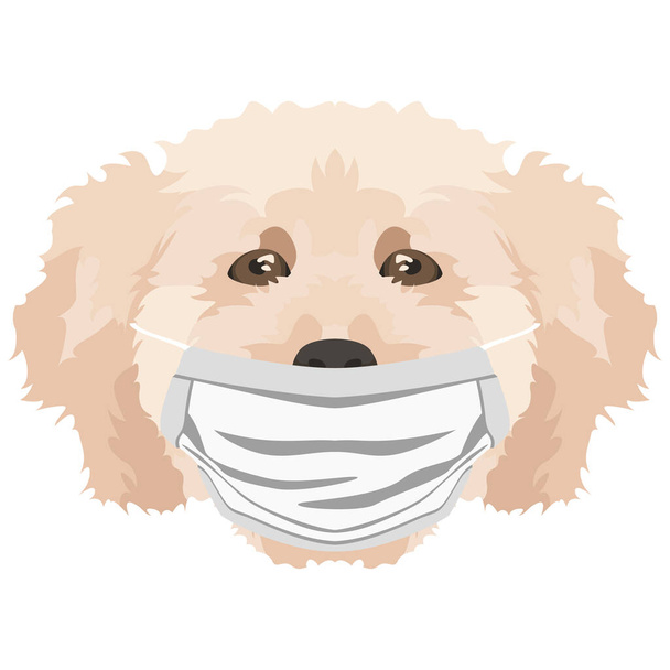 Ilustrace pudla s respirátorem. V této době pandemie, design je pěkná grafika pro fanoušky psů - Vektor, obrázek