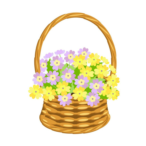 Primarose bouquet in basket wicker with a vine. Pink and yellow flowers art design elements object isolated stock vector illustration for web, for print - Vector, Imagen