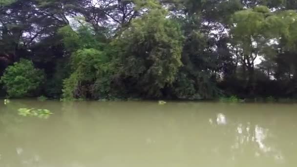 Довгохвостовий човен круїз по річці Чао Фрая в стародавньому місті Аюттхая, Тайланд - 21 січня 2020 - Кадри, відео