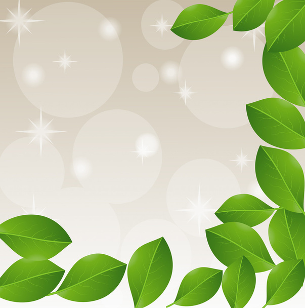background with green leaves for a design - Vector, Image