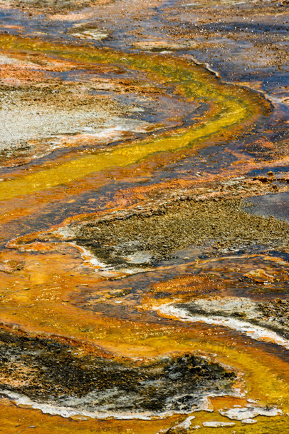 Corriente de escorrentía colorida de aguas termales en Yellowstone
 - Foto, imagen