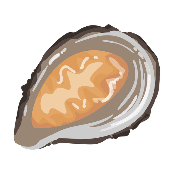Oyster vector icon.Cartoon vector icon isolated on white background oyster. - Vektor, Bild