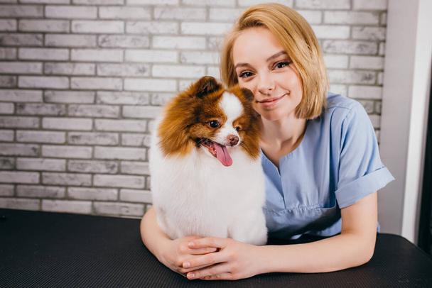 adorable caucasian female groomer love working with pets - 写真・画像