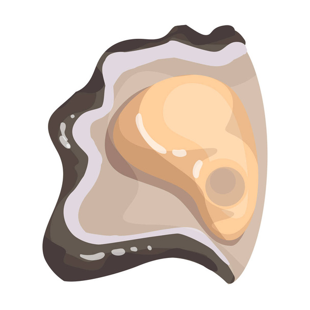 Oyster vector icon.Cartoon vector icon isolated on white background oyster. - Vetor, Imagem