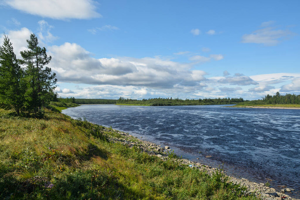Taiga river. Summer, Eastern slope of the Polar Urals. Water landscape of the Russian North. - 写真・画像