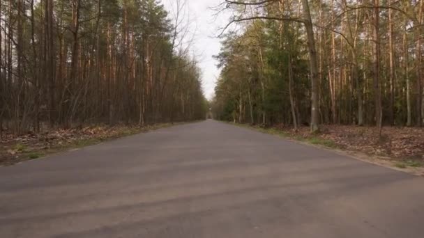 Bir bahar ormanında asfalt yolda yürümek - Video, Çekim